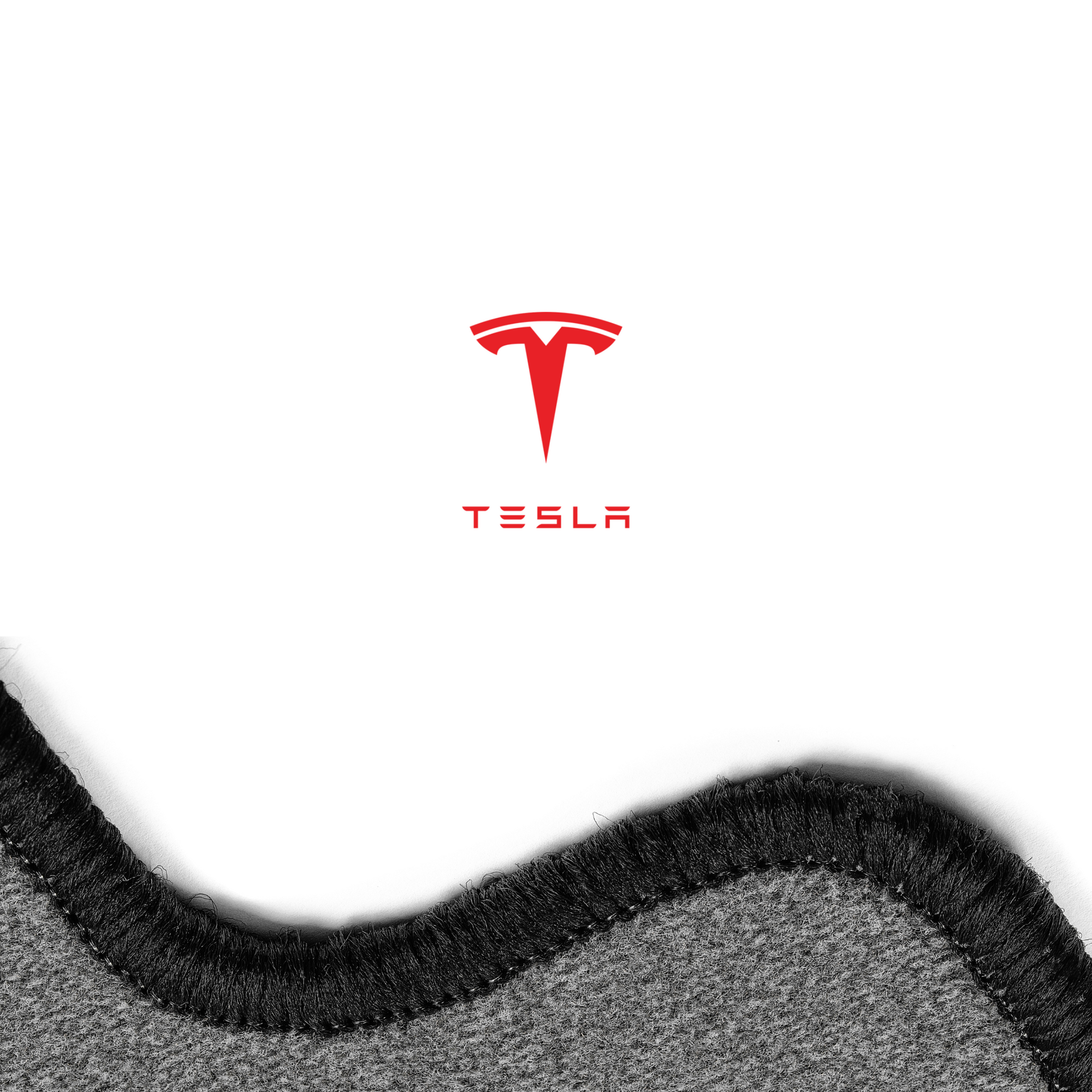 TESLA car mats custom fit